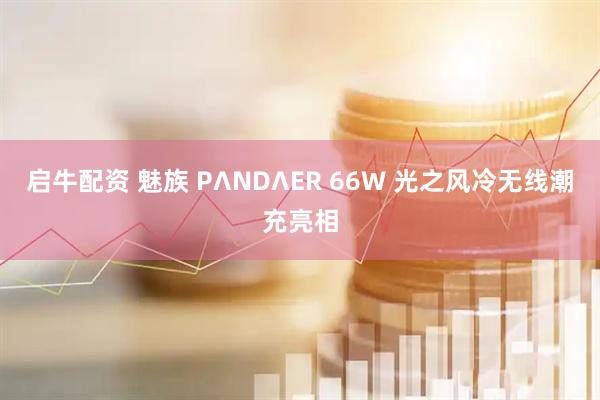 启牛配资 魅族 PΛNDΛER 66W 光之风冷无线潮充亮相
