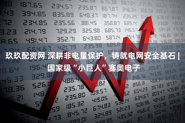 玖玖配资网 深耕非电量保护，铸就电网安全基石 | 国家级“小巨人”赛奥电子