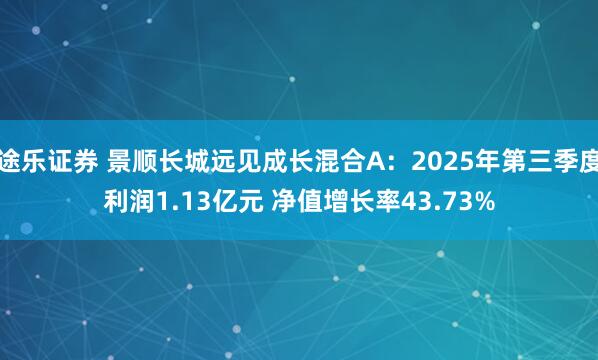 途乐证券 景顺长城远见成长混合A：2025年第三季度利润1.13亿元 净值增长率43.73%