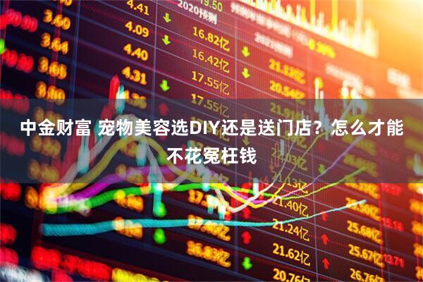 中金财富 宠物美容选DIY还是送门店？怎么才能不花冤枉钱